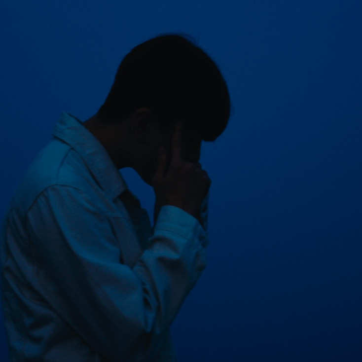 파일보기링크